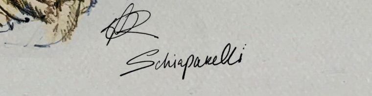 Signature de Schiaparelli